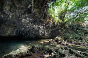 自然あふれる風景と緑